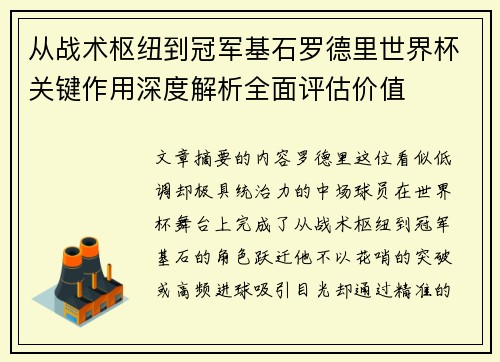 从战术枢纽到冠军基石罗德里世界杯关键作用深度解析全面评估价值 从战术枢纽到冠军基石罗德里世界杯关键作用深度解析全面评估价值
